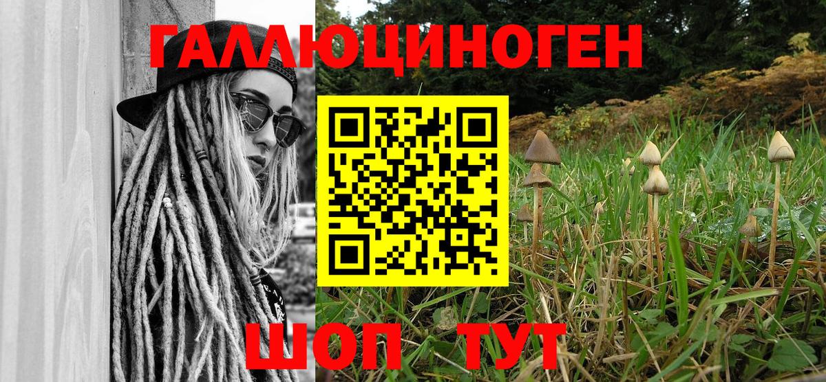 что такое наркотик  Вход с VPN  Рязань  Псилоцибиновые грибы GOLDEN TEACHER 